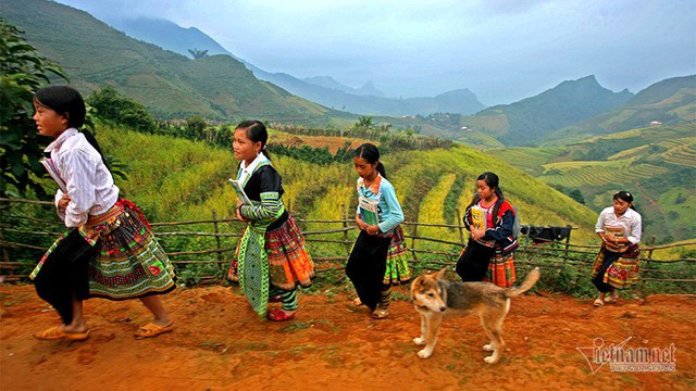 Cảnh sắc đẹp nhất thế giới mỗi năm 1 lần chỉ có ở Việt Nam - Ảnh 3.