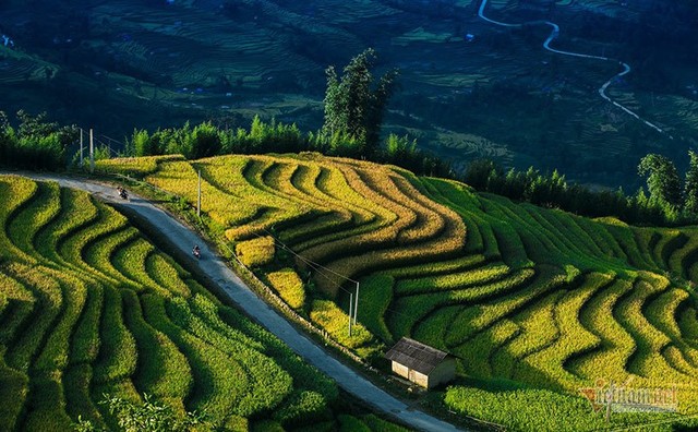 Cảnh sắc đẹp nhất thế giới mỗi năm 1 lần chỉ có ở Việt Nam - Ảnh 6.
