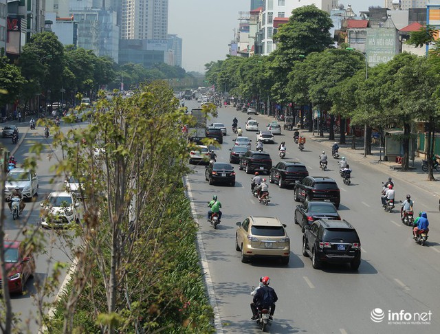 Hà Nội: Hàng phong lá đỏ đường Trần Duy Hưng héo úa giữa trời thu - Ảnh 6.