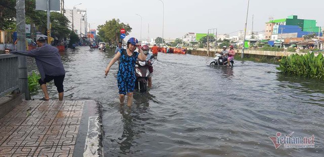 Triều cường vỡ bờ bao 30m, nước bủa vây khu dân cư ở Sài Gòn - Ảnh 5.