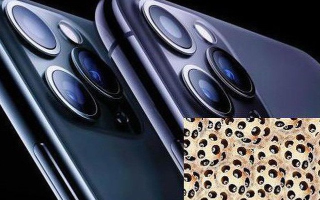 Sẽ có khoảng 1 tỷ người trên thế giới chắc chắn không mua iPhone 11 Pro và Pro Max dù mê Apple đến cỡ nào, lý do nằm ở đây Sẽ có khoảng 1 tỷ người trên thế giới chắc chắn không mua iPhone 11 Pro và Pro Max dù mê Apple đến cỡ nào, lý do nằm ở đây