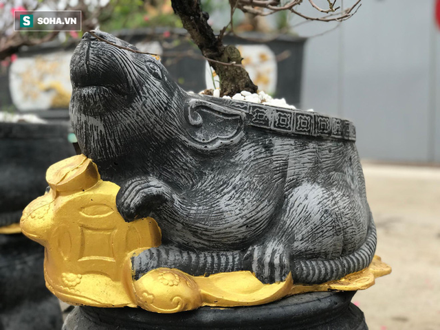  Chuột đen cưỡi vàng cõng hoa đào giá 2 triệu đồng hút khách dịp Tết 2020 - Ảnh 1.