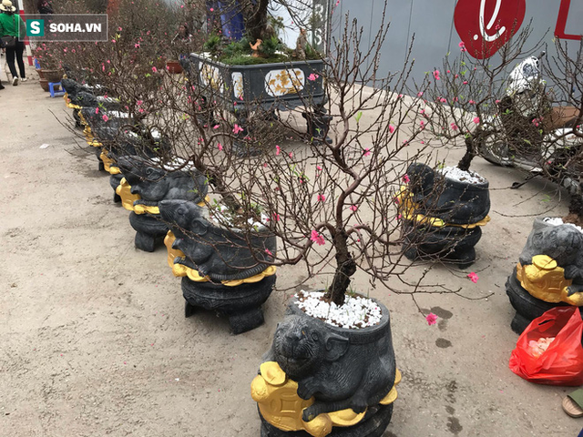  Chuột đen cưỡi vàng cõng hoa đào giá 2 triệu đồng hút khách dịp Tết 2020 - Ảnh 4.