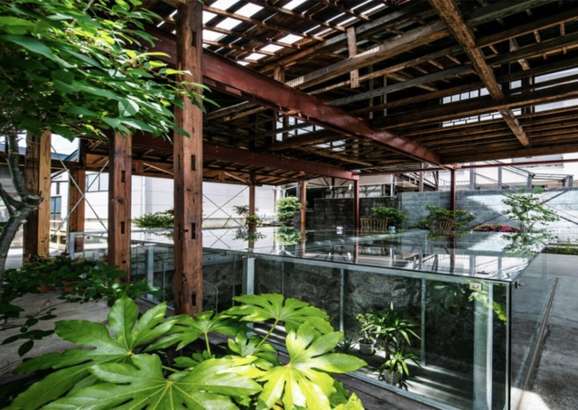 Cặp vợ chồng người Nhật quyết định cải tạo biệt thự cổ rộng 550m² để thay bằng nhà vườn gần gũi với thiên nhiên - Ảnh 11.