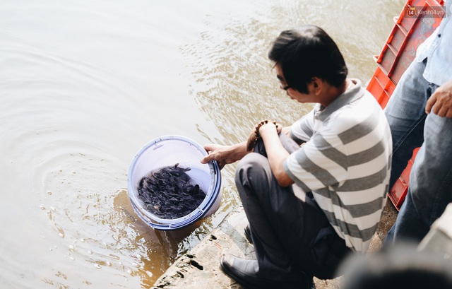 Ảnh: Chi 20 triệu mua cá chép rồi đi thuyền ra giữa sông để phóng sinh, người phụ nữ Sài Gòn vẫn choáng đặc khi thấy gã thanh niên lao theo chích điện để vớt cá - Ảnh 17.