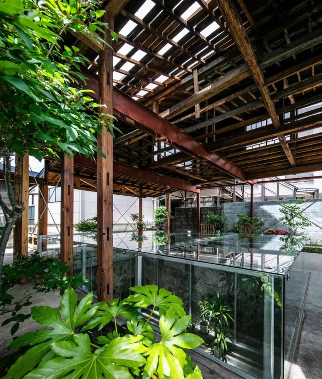 Cặp vợ chồng người Nhật quyết định cải tạo biệt thự cổ rộng 550m² để thay bằng nhà vườn gần gũi với thiên nhiên - Ảnh 24.