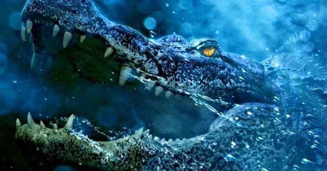  1001 thắc mắc: Vì sao cá sấu nuốt mồi dưới nước mà không bị sặc? - Ảnh 1.