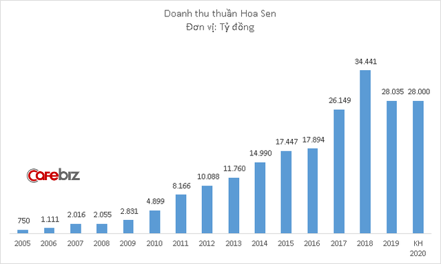 Hoa Sen đặt mục tiêu lãi 400 tỷ đồng năm 2020, bằng mọi cách phải tồn tại trước sự sàng lọc của thị trường - Ảnh 1.