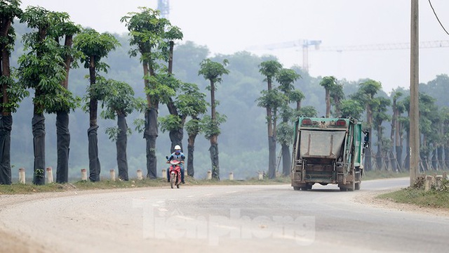 Hàng hoa sữa chuyển từ Hà Nội lên bãi rác Nam Sơn giờ ra sao? - Ảnh 3.