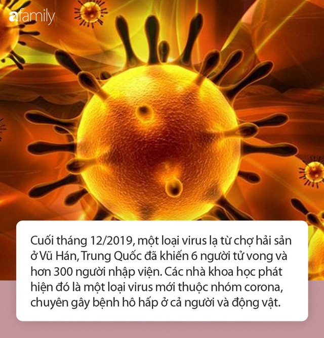 Điều quan trọng ai cũng phải biết về virus corona mới đang hoành hành: Nguy hiểm thế nào, lây truyền ra sao, Tết này người dân có cần phải lo lắng? - Ảnh 1.