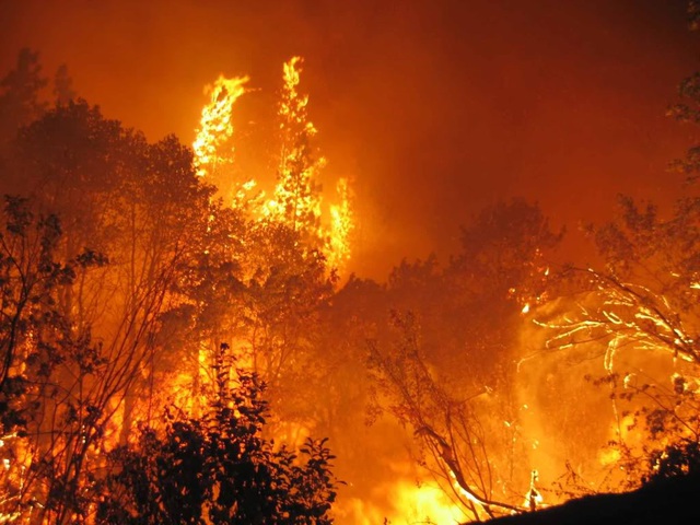 Vì đâu ‘mùa cháy’ hàng năm trở thành thảm họa khủng khiếp ở Úc? Đừng chỉ đổ tội cho thiên nhiên, con người cũng là thủ phạm! - Ảnh 2.