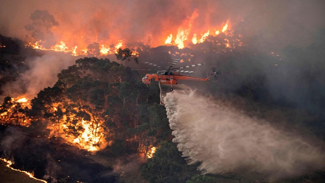 Tranh cãi nảy lửa: Sau tin Thor quyên góp 23 tỷ vì thảm họa cháy rừng Úc, loạt sao bỗng bị chỉ trích gay gắt - Ảnh 8.