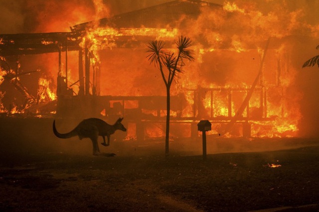 Úc bắt 183 kẻ tình nghi liên quan đến thảm họa cháy rừng, trong đó có 69 trẻ vị thành niên, đáng phẫn nộ nhiều kẻ còn tỏ ra phấn khích tột cùng khi nhìn thấy lửa - Ảnh 2.