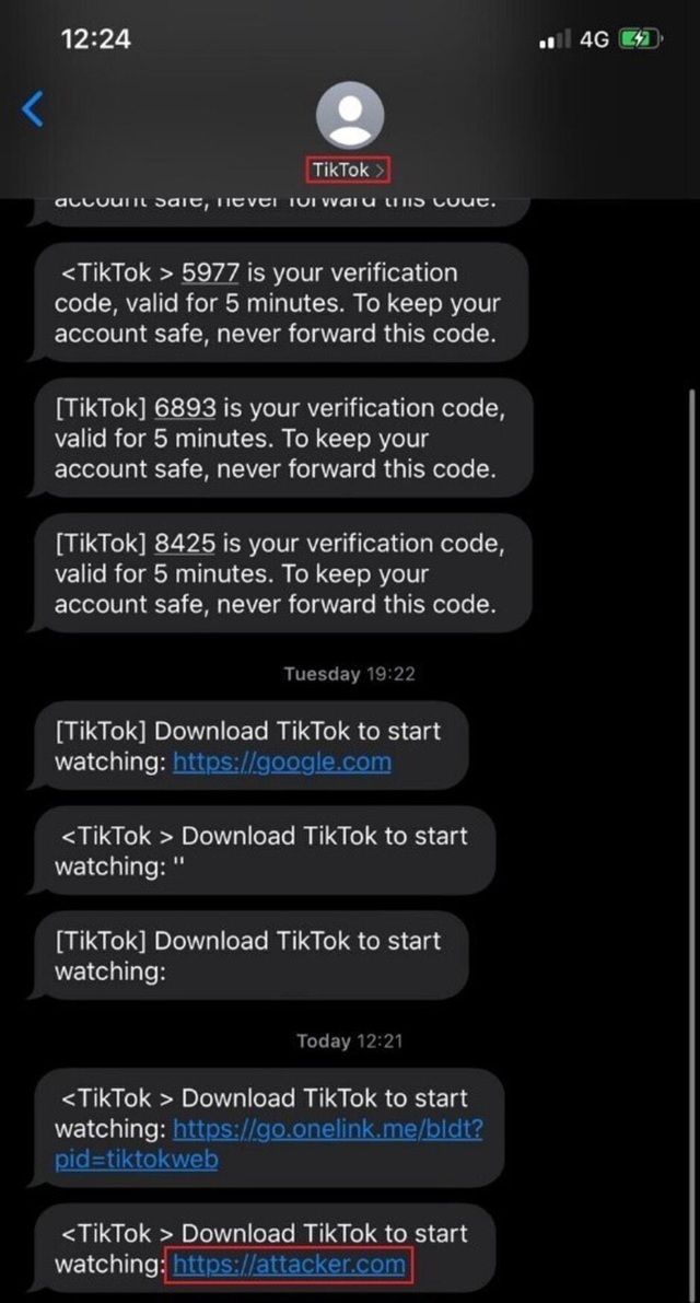 Ứng dụng TikTok với hơn 1 tỷ người dùng có một lỗ hổng bảo mật nghiêm trọng - Ảnh 1.