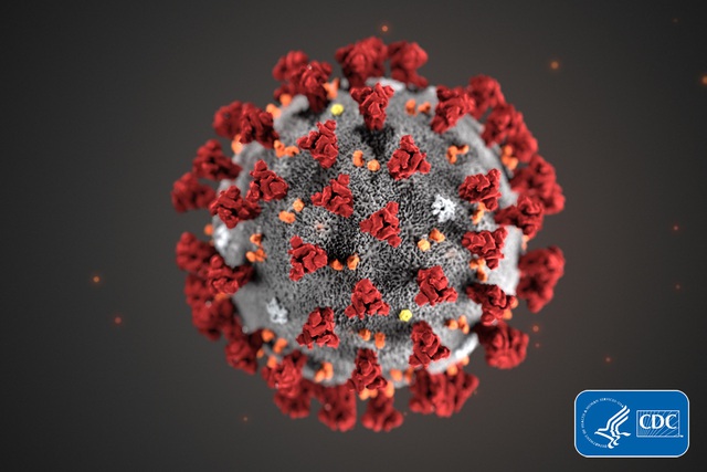 Virus Corona (Covid-19) - Những thông tin thiết thực nhất từ các bác sĩ sẽ giúp bạn bảo vệ bản thân và gia đình khỏi đại dịch - Ảnh 1.