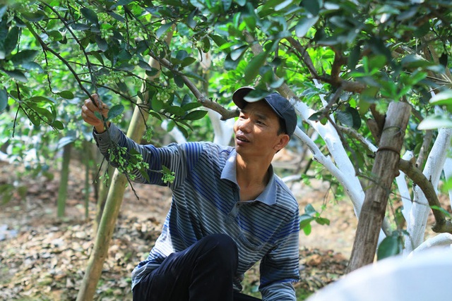Kiếm bạc triệu nhờ bán hoa theo lạng trên phố Hà Nội - Ảnh 1. Kiếm bạc triệu nhờ bán hoa theo lạng trên phố Hà Nội - Ảnh 1.