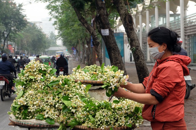 Kiếm bạc triệu nhờ bán hoa theo lạng trên phố Hà Nội - Ảnh 3. Kiếm bạc triệu nhờ bán hoa theo lạng trên phố Hà Nội - Ảnh 3.