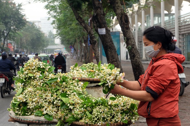  Kiếm bạc triệu nhờ bán hoa theo lạng trên phố Hà Nội - Ảnh 3.