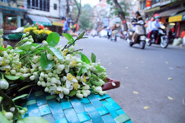  Kiếm bạc triệu nhờ bán hoa theo lạng trên phố Hà Nội - Ảnh 10.