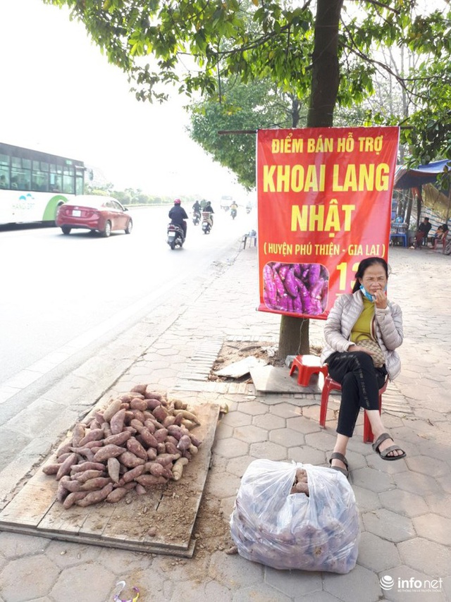 Khoai lang Nhật giải cứu đầy vỉa hè Hà Nội, thương nhân bán giá 13.000 đồng/kg - Ảnh 5.