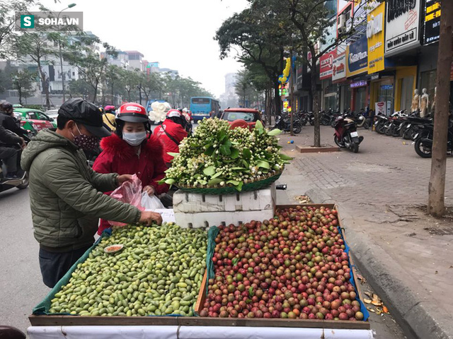  Kiếm tiền triệu mỗi ngày nhờ bán rong quả xanh đầu mùa - Ảnh 4.