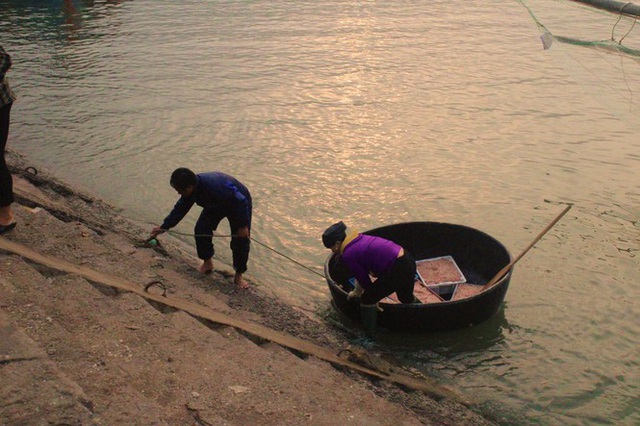 Ngư dân Hà Tĩnh hốt lộc trời đầu năm, kiếm tiền triệu sau vài giờ ra khơi - Ảnh 3.