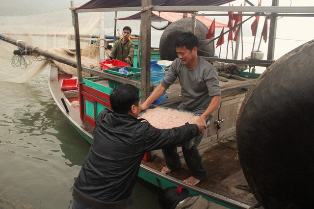 Ngư dân Hà Tĩnh hốt lộc trời đầu năm, kiếm tiền triệu sau vài giờ ra khơi - Ảnh 4.