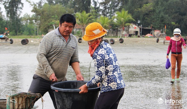 Trúng đậm mùa ruốc biển, ngư dân xứ Nghệ kiếm tiền triệu mỗi ngày - Ảnh 2.