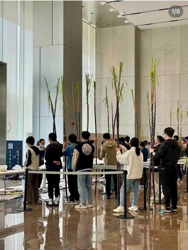 Một tập đoàn công nghệ trăm tỷ USD thưởng mía cho nhân viên dịp cuối năm- Ảnh 5.