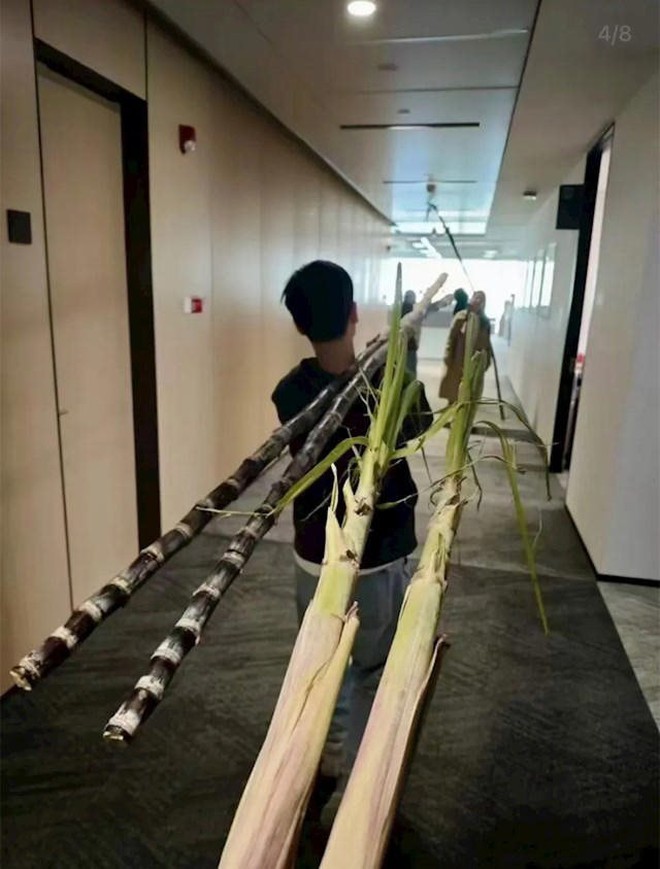 Một tập đoàn công nghệ trăm tỷ USD thưởng mía cho nhân viên dịp cuối năm- Ảnh 4.