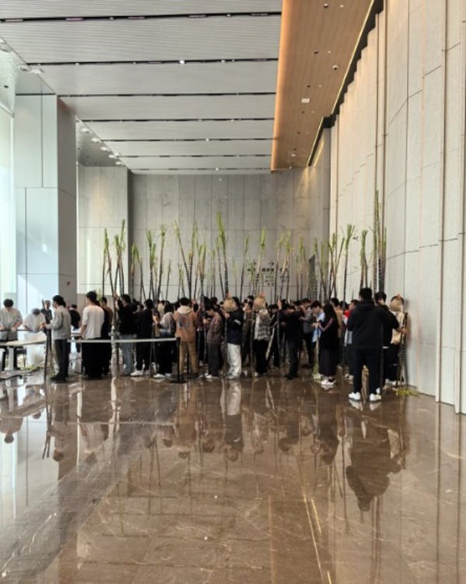 Một tập đoàn công nghệ trăm tỷ USD thưởng mía cho nhân viên dịp cuối năm- Ảnh 3.