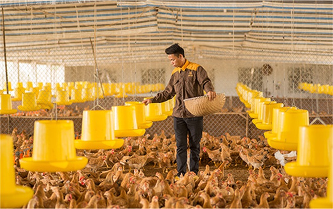 Phó TGĐ Phạm Minh Dương - Ảnh 6.