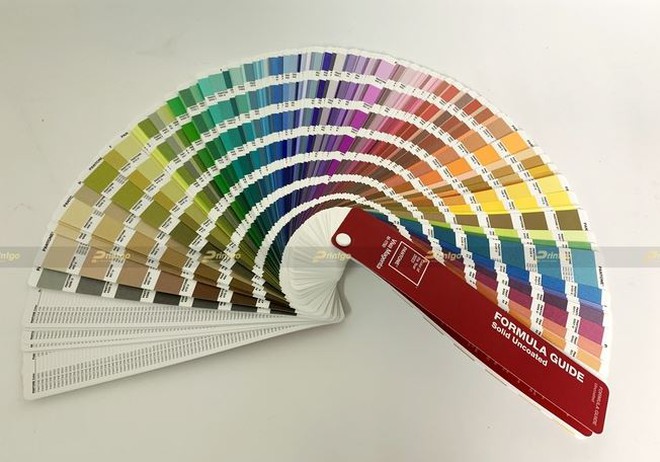 TGĐ Nguyễn Tuấn Anh  - Ảnh 5.