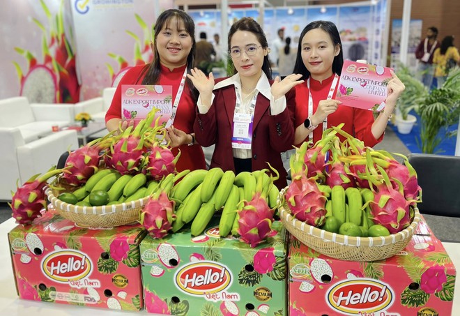 CEO Lê Thị Thùy Dung - Ảnh 5.