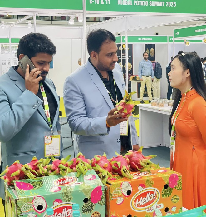 CEO Lê Thị Thùy Dung - Ảnh 6.