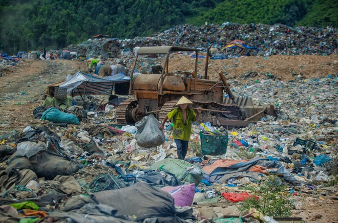COO Trần Tâm Bình - Ảnh 10.