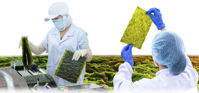 CEO Nguyễn Công Nam Hiến - Ảnh 3.