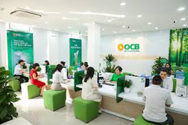 CEO Nguyễn Đức Quân Tùng - Ảnh 4.