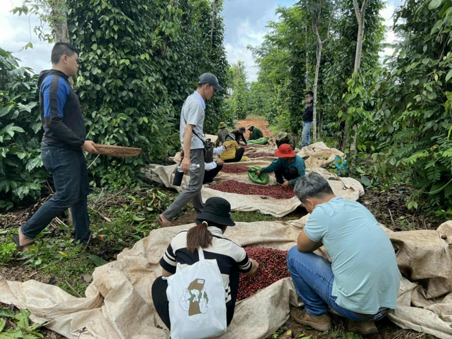 CEO Y Pôt Niê - Ảnh 5.