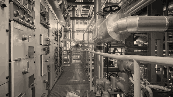 CEO Nguyễn Bá Thái - Ảnh 6.