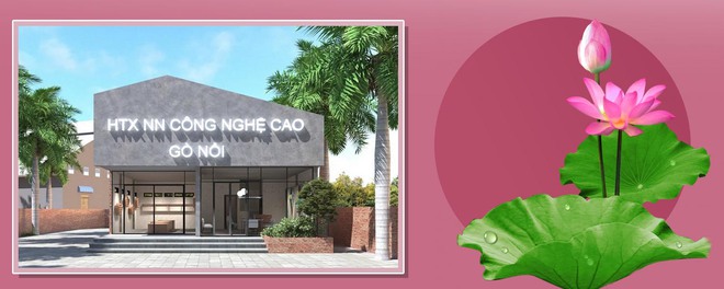 CEO Võ Thị Lệ  - Ảnh 4.