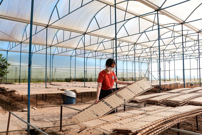 CEO Hoàng Bảo Trâm - Ảnh 9.