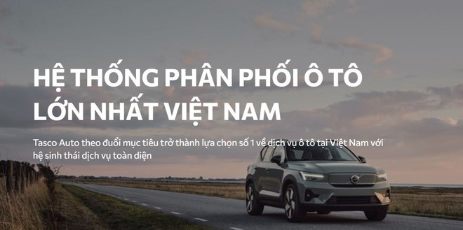 TGĐ Hoàng Anh Tuấn - Ảnh 3.