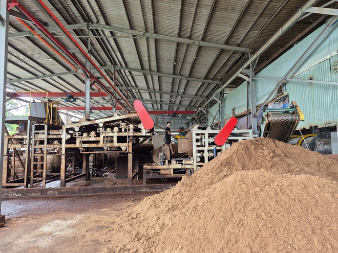 CEO Nguyễn Hoàng Dũng - Ảnh 4.