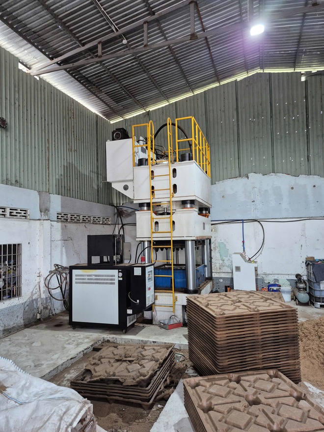 CEO Nguyễn Hoàng Dũng - Ảnh 3.