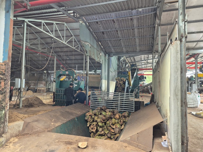 CEO Nguyễn Hoàng Dũng - Ảnh 5.