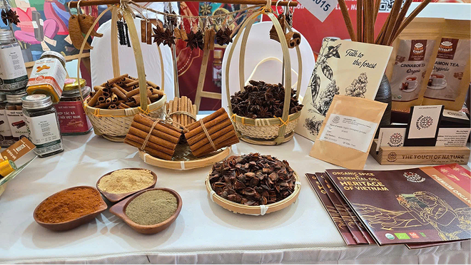 CEO Nguyễn Thị Huyền và hành trình xây dựng Vinasamex từ hữu cơ đến IPO - Ảnh 6.