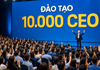 Tin vui: Chính thức công bố kế hoạch đào tạo 10.000 CEO, tập trung vào thực chiến, có cả doanh nhân quốc tế 'cầm tay chỉ việc'