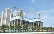 Xây dựng Hòa Bình ước lợi nhuận khoảng 60 tỷ đồng năm nay, hoàn thành 48% kế hoạch