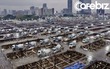 Tập đoàn SCG công bố lãi quý 3 tăng đột biến 57%, giúp lợi nhuận năm 2020 hết tăng trưởng âm